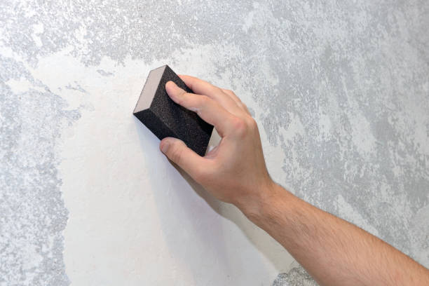 Best Basement Mold Removal  in Midland, TX