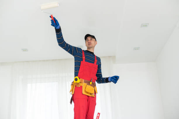Best Biohazard Mold Removal  in Midland, TX